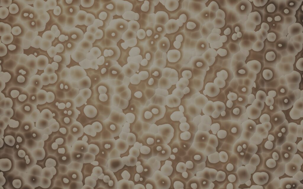 Mammalian Cell Culture