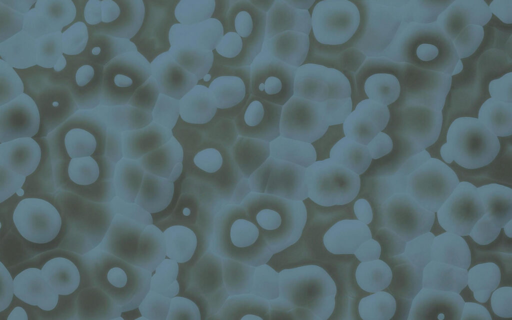 Mammalian Cell Culture
