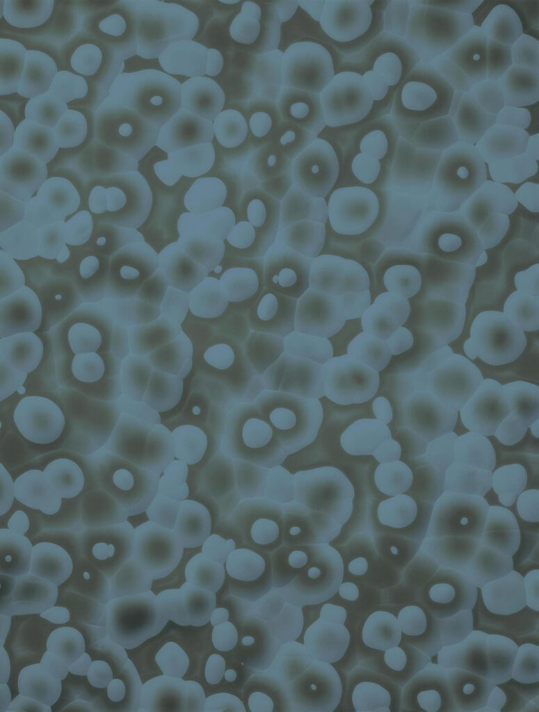 Mammalian Cell Culture