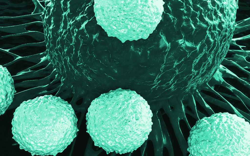 Antibody Drug Conjugates (ADC)