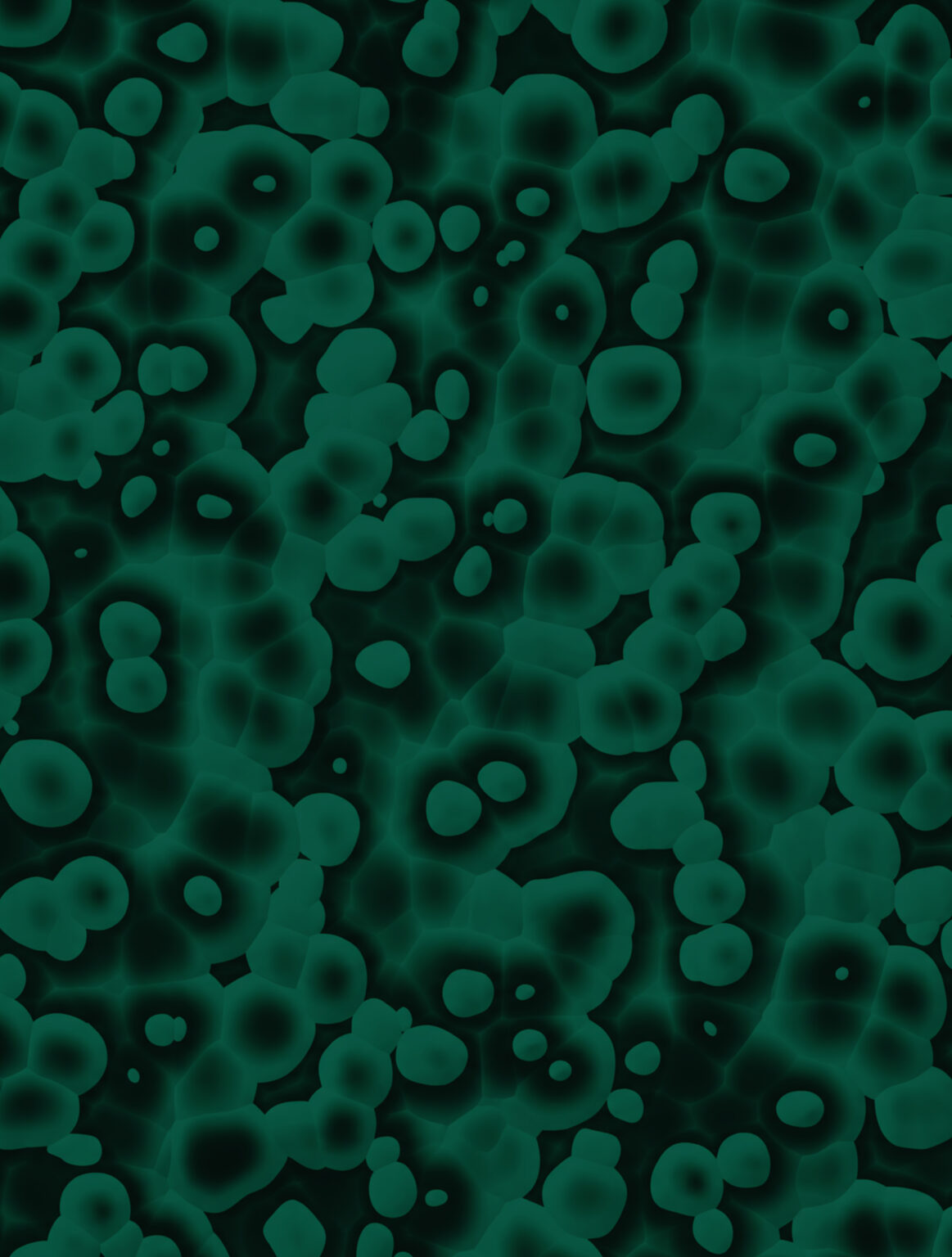 Mammalian Cell Culture